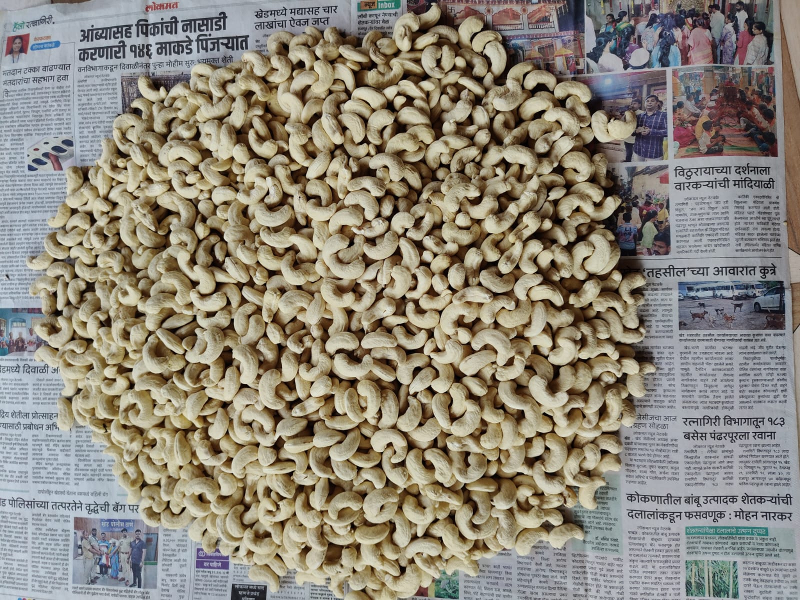 Actual W180 cashew from Pasture farm
