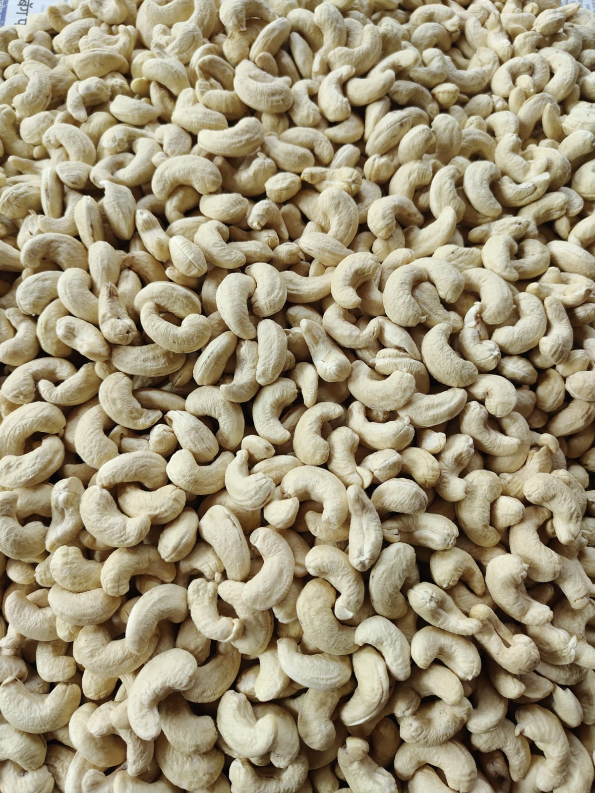 Actual W180 cashew from Pasture farm