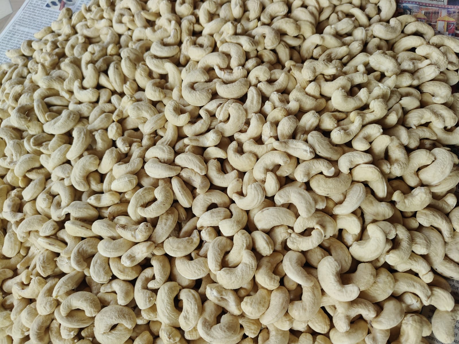 Actual W180 cashew from Pasture farm