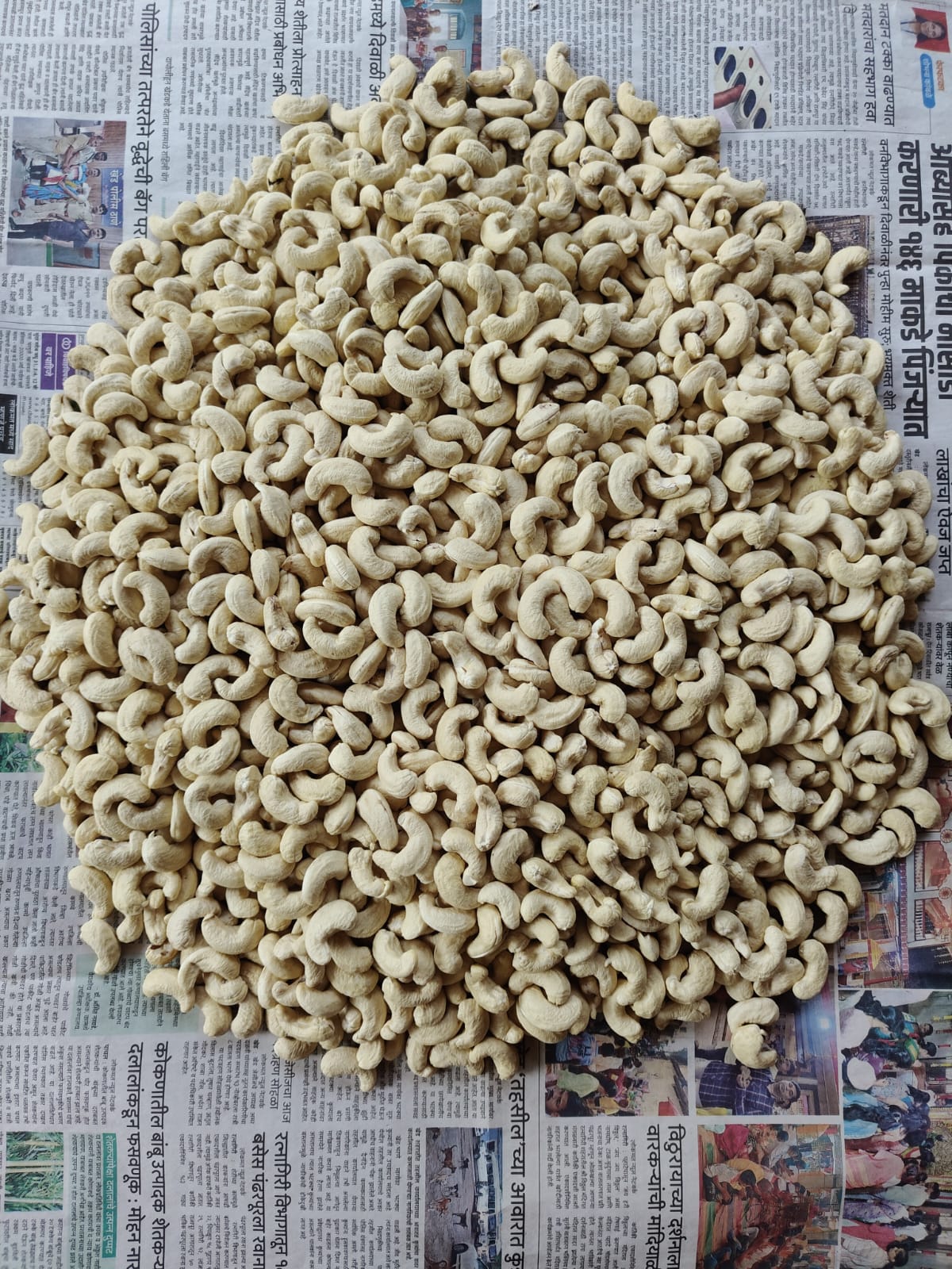 Actual W180 cashew from Pasture farm