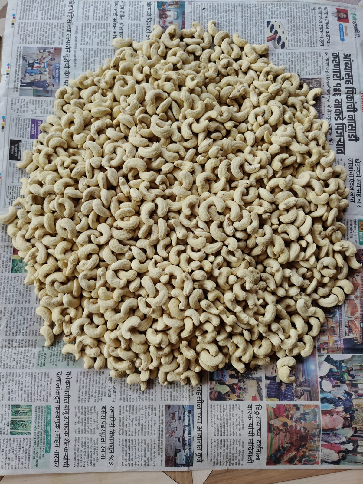 Actual W180 cashew from Pasture farm