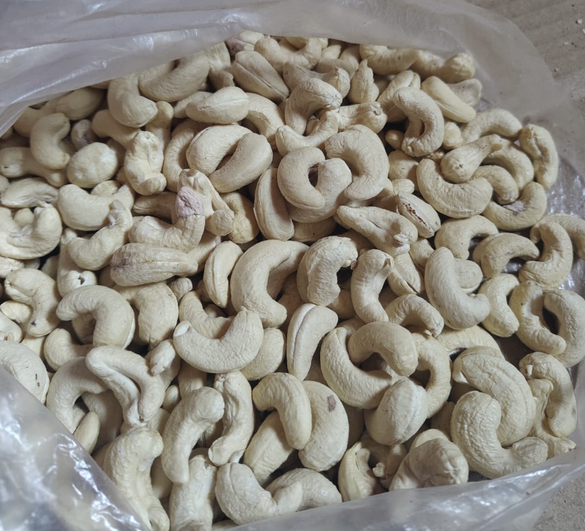 W180 Jumbo Premium Cashew from our Ratnagiri farm — handpicked and sun-dried